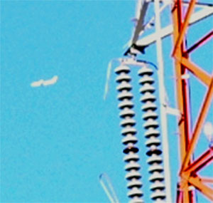 鉄塔と青空飛行機