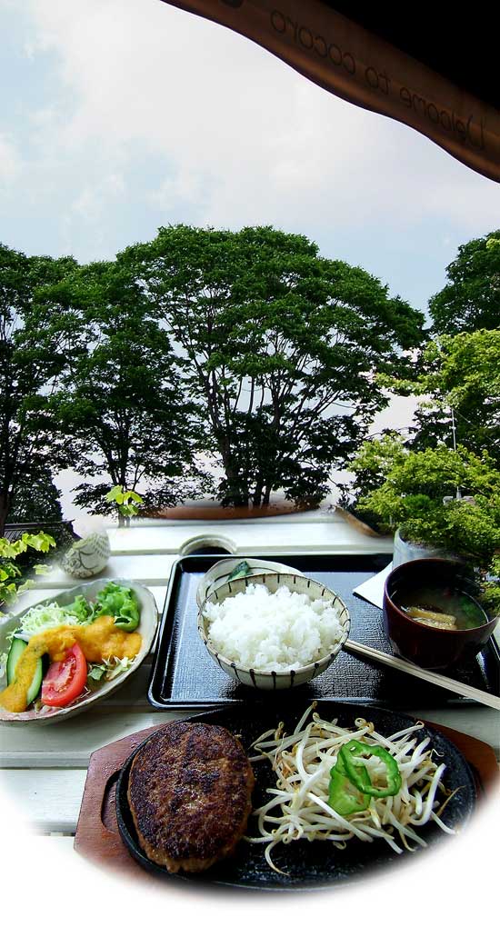 益子のハンバーグ定食